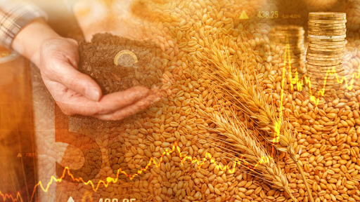 05058091-2487-4df9-af43-02dae74b3a6d – PU Prime | More Than Trading wheat commodity prices increasing with wheat crops shown in image